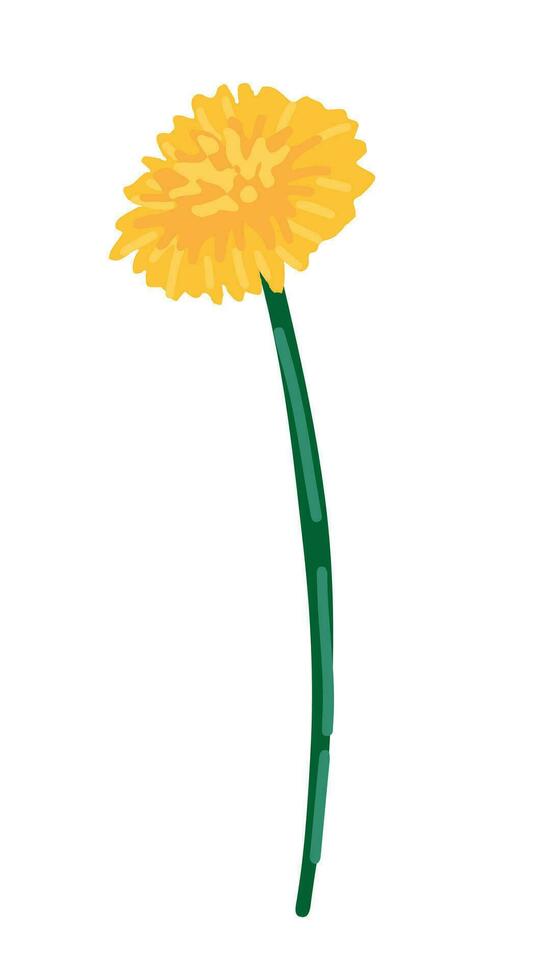 Dandelion clipart. Summer wildflower doodle. Cartoon vector botany illustration. Contemporary style drawing isolated on white.