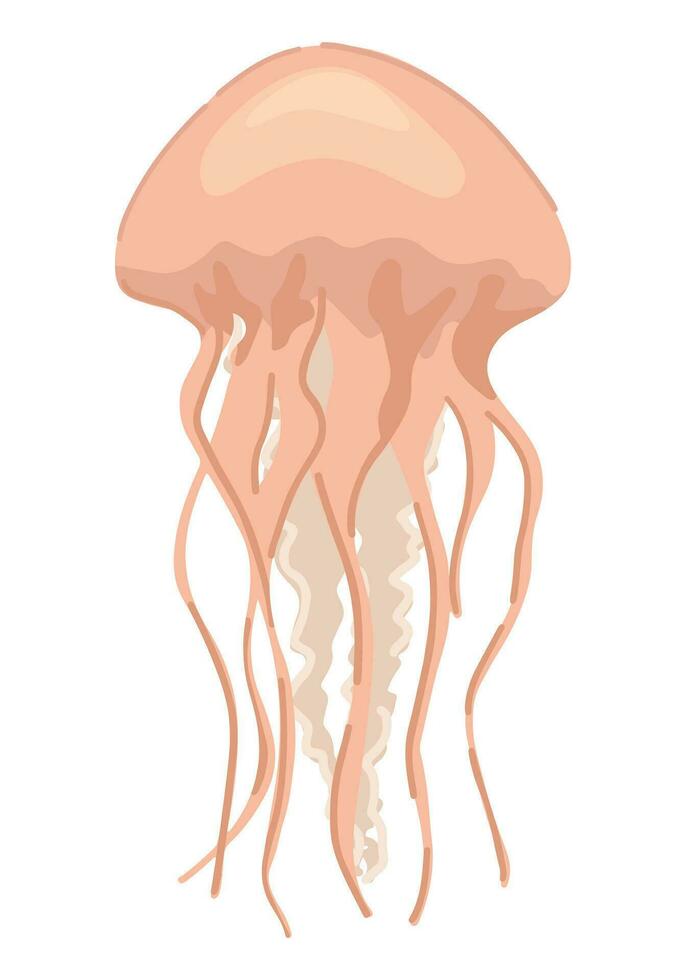 Medusa, medusa clipart. soltero garabatear de submarino animal aislado en blanco. de colores vector ilustración en dibujos animados estilo.