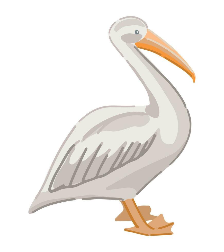 Pelican tropical bird clipart. Single doodle of exotic wild animal isolated on white. Colored vector illustration in cartoon style.