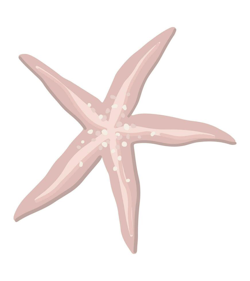 Star fish clipart. Single doodle of underwater animal isolated on white. Colored vector illustration in cartoon style.