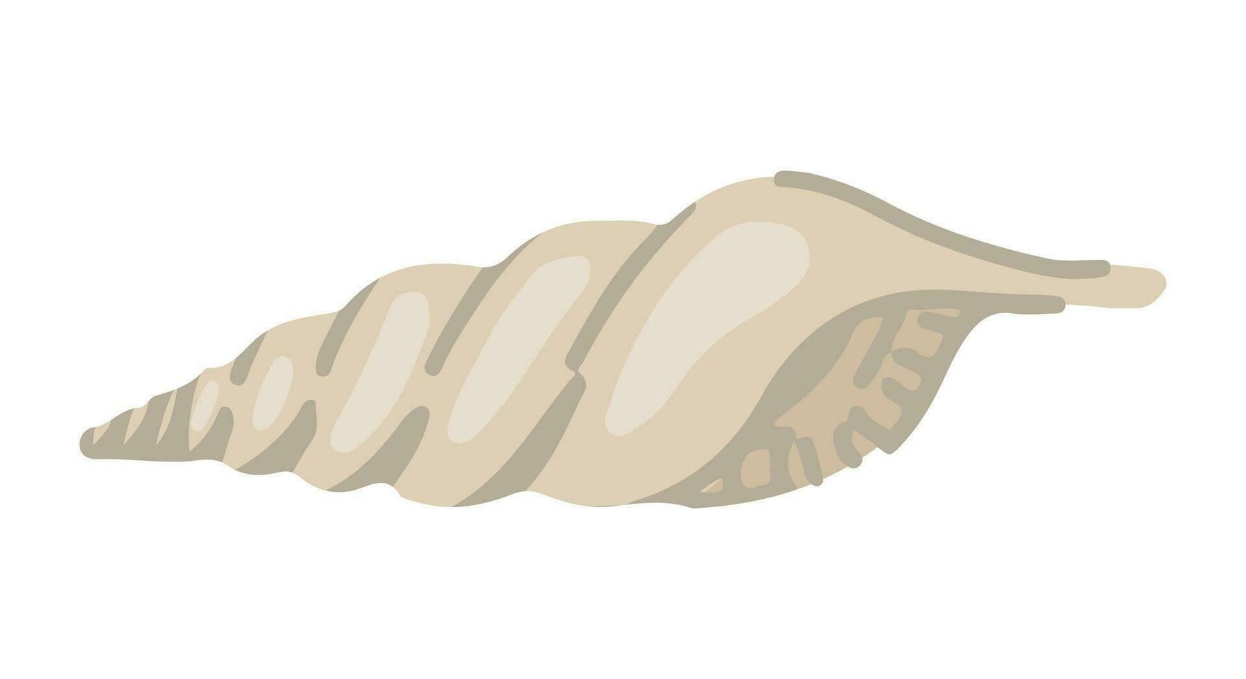 Seashell clipart. Single doodle of mollusk shell isolated on white. Colored vector illustration in cartoon style.