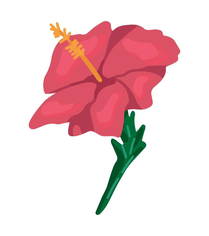 Hibiscus flower clipart. Tropical floral doodle. Cartoon vector botany illustration. Contemporary style drawing isolated on white.