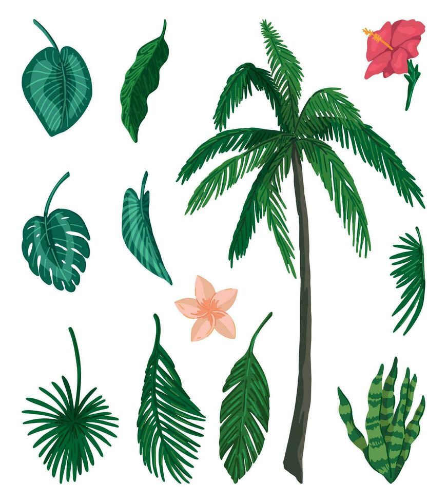 tropical flora garabatos recopilación. conjunto de exótico hojas, palmera, flores dibujos animados vector ilustraciones. de colores imágenes prediseñadas aislado en blanco.