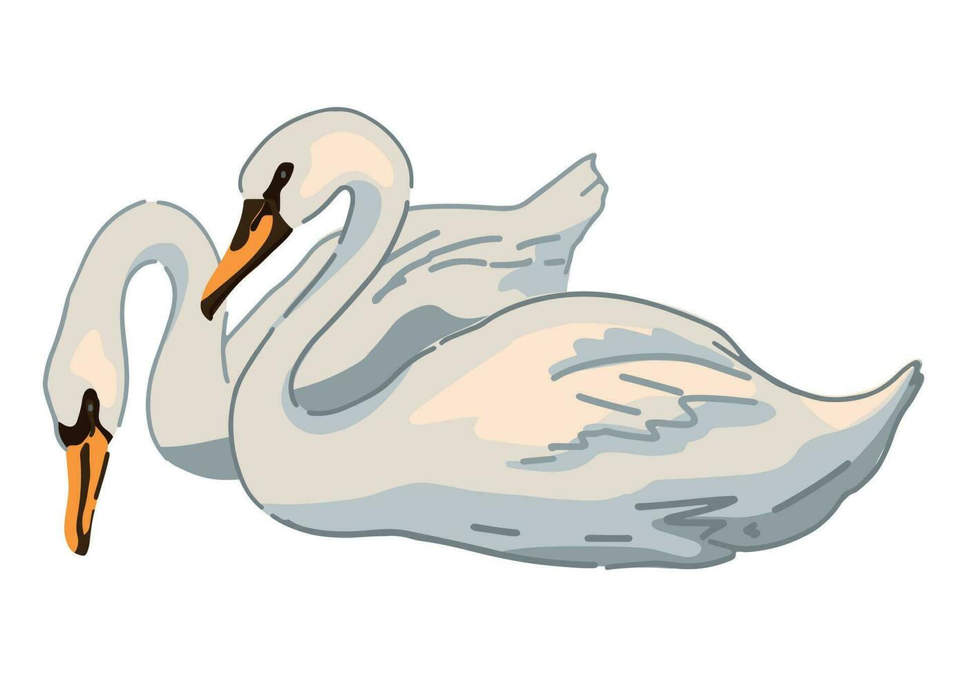 Swans couple clipart. Single doodle of waterfowl birds animal isolated on white. Colored vector illustration in cartoon style.