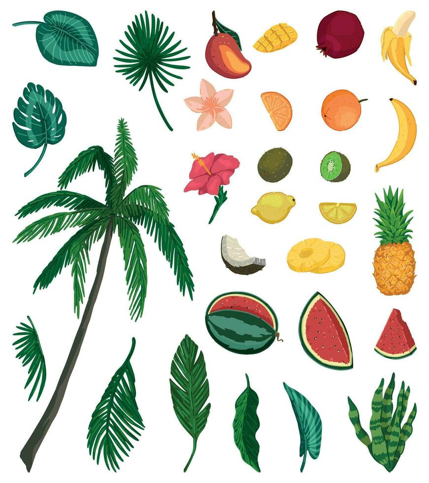 tropical naturaleza garabatos colocar. colección de exótico hojas, palmera, flores, frutas de colores vector ilustración en dibujos animados estilo. moderno clipart aislado en blanco.