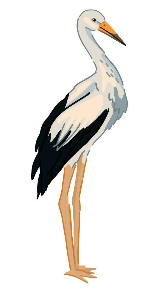 cigüeña pájaro clipart. soltero garabatear de salvaje animal aislado en blanco. de colores vector ilustración en dibujos animados estilo.