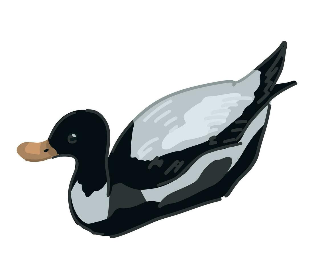 Wild duck bird clipart. Single doodle of waterfowl animal isolated on white. Colored vector illustration in cartoon style.