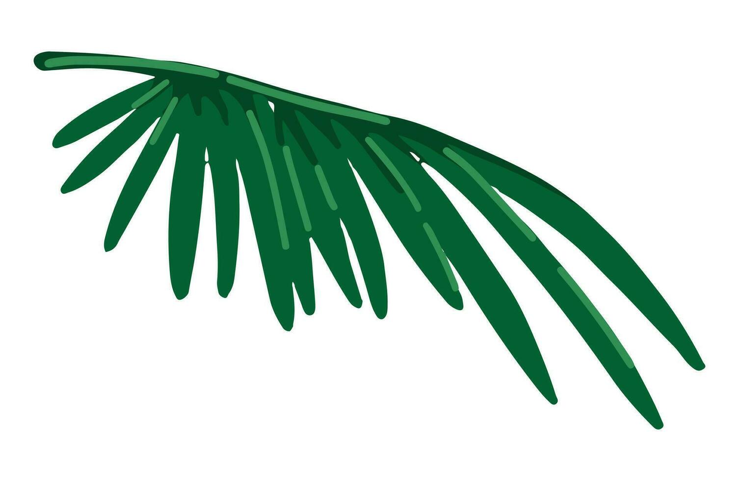 Palm leaf clipart. Tropical floral doodle. Cartoon vector botany illustration. Contemporary style drawing isolated on white.