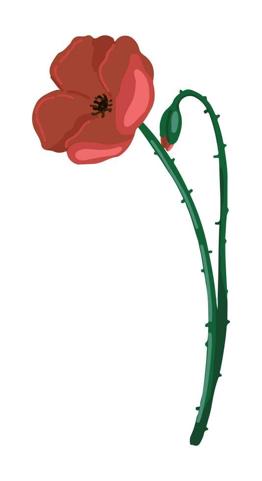 Poppy clipart. Summer wildflower doodle. Cartoon vector botany illustration. Contemporary style drawing isolated on white.