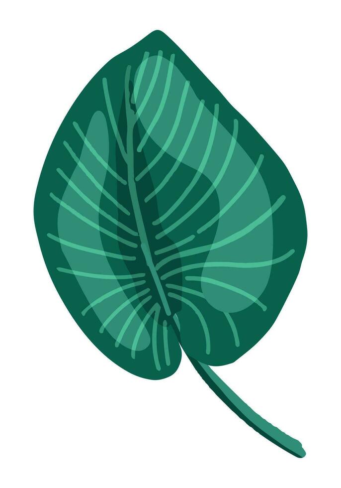 Tropical leaf clipart. Exotic flora doodle. Cartoon vector botany illustration. Contemporary style drawing isolated on white.