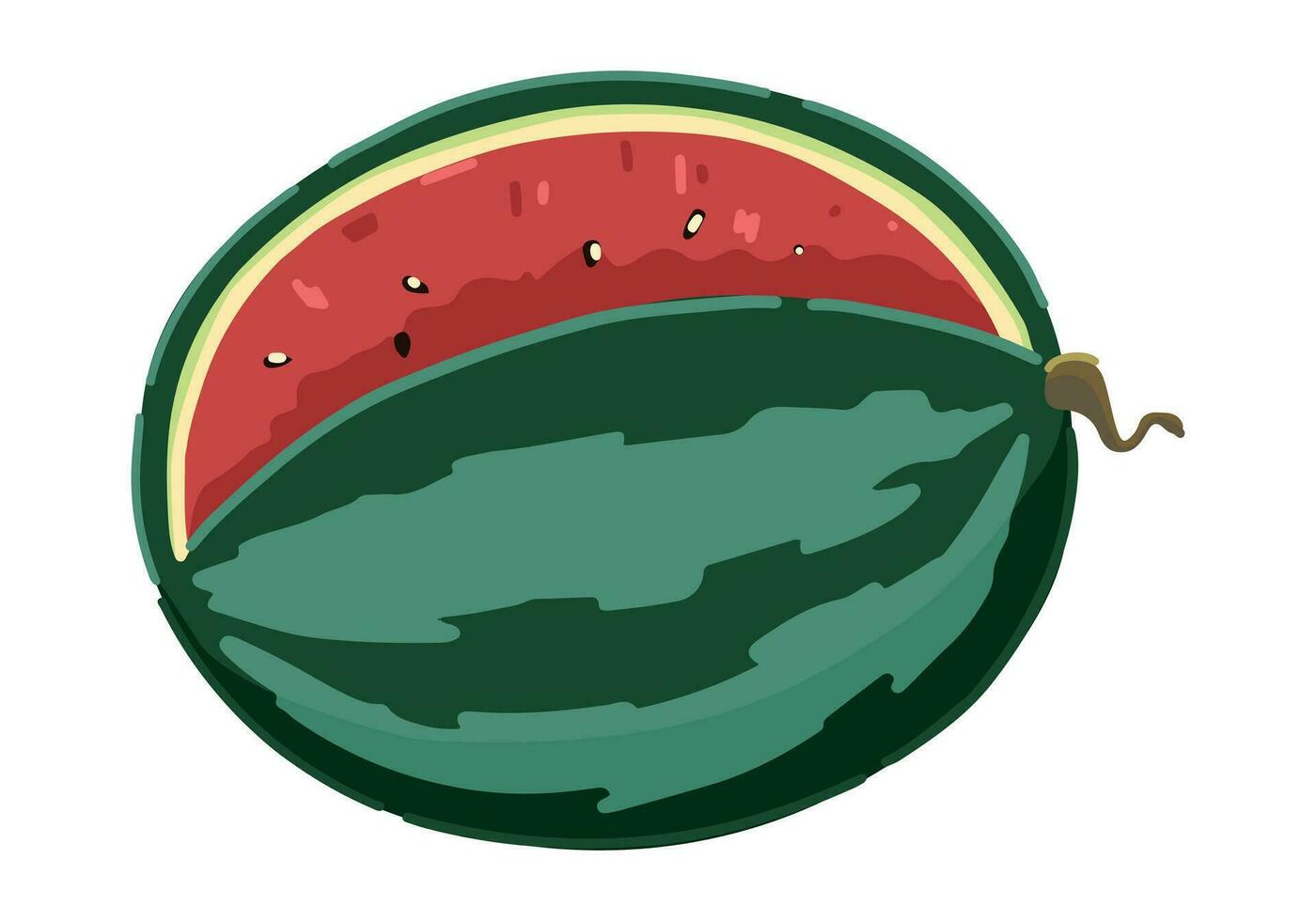 Sliced watermelon clipart. Sweet fresh tropical fruit doodle isolated on white. Colored vector illustration in cartoon style.