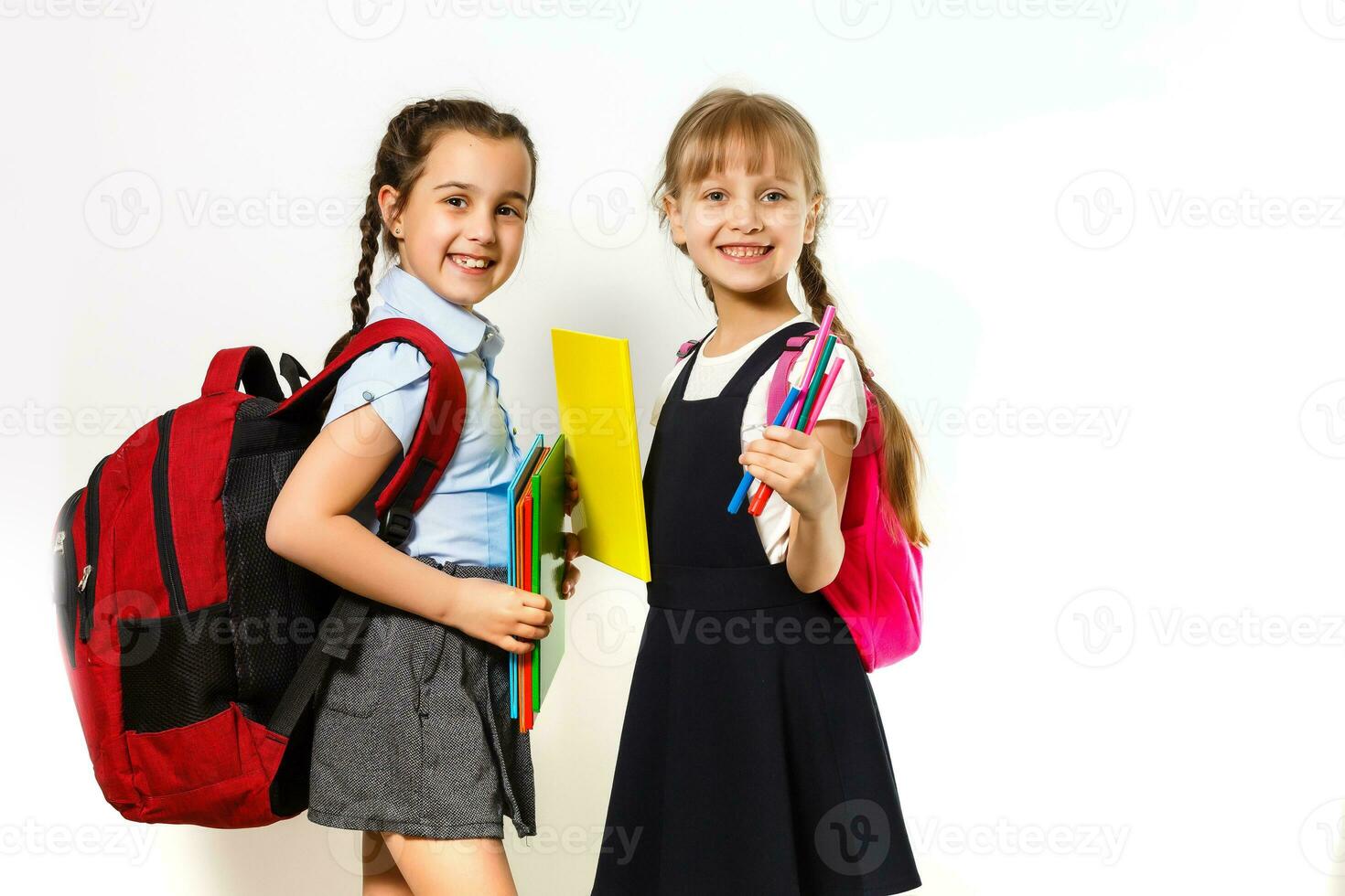 Portrait of two people nice cute lovely charming dreamy attractive cheerful pre-teen girls siblings showing aside ad promotion copy space isolated background photo