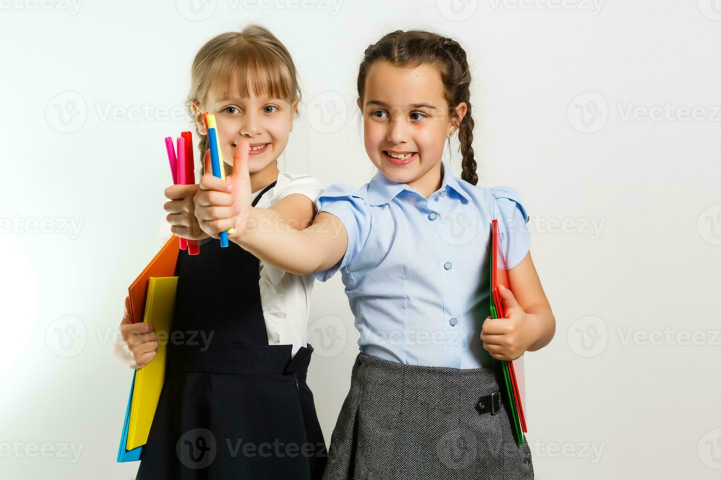 Portrait of two people nice cute lovely charming dreamy attractive cheerful pre-teen girls siblings showing aside ad promotion copy space isolated background photo