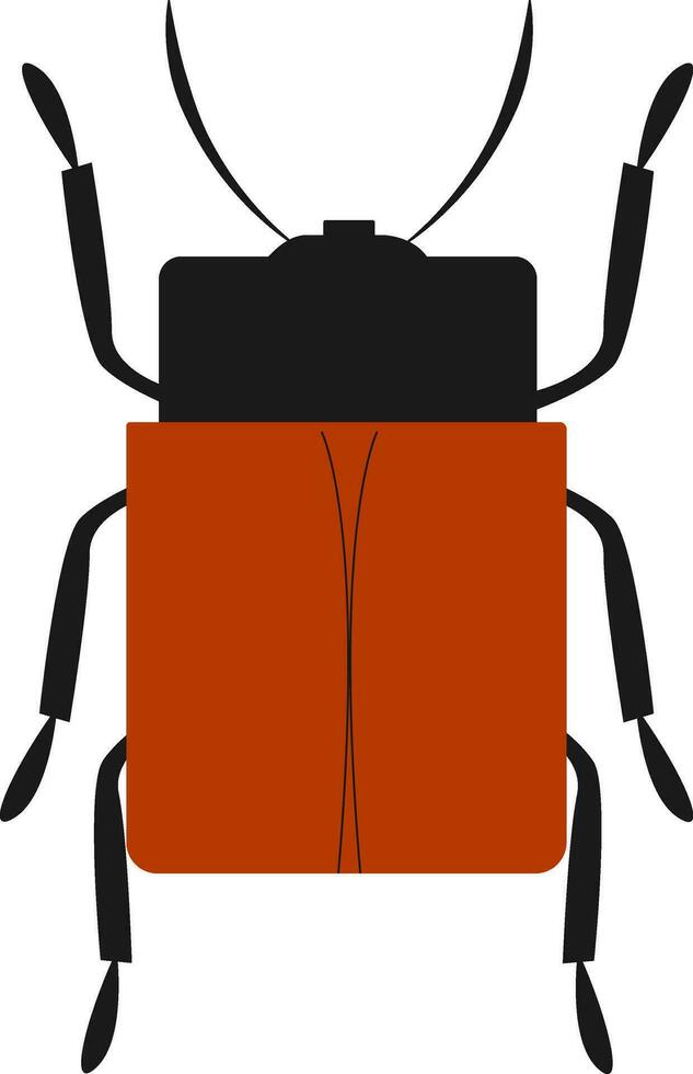 Image of beetle, vector or color illustration.
