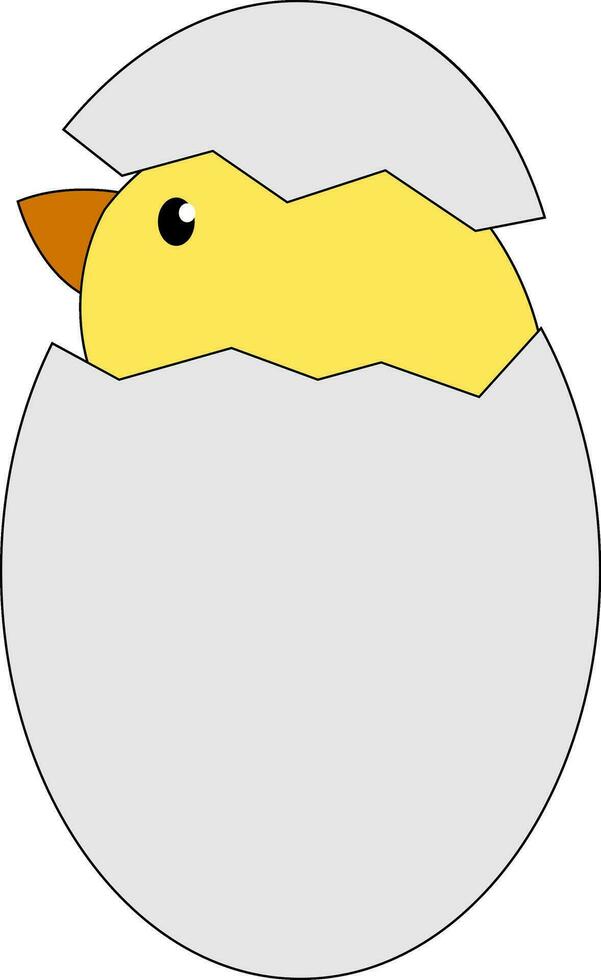 Chick from egg , vector or color illustration