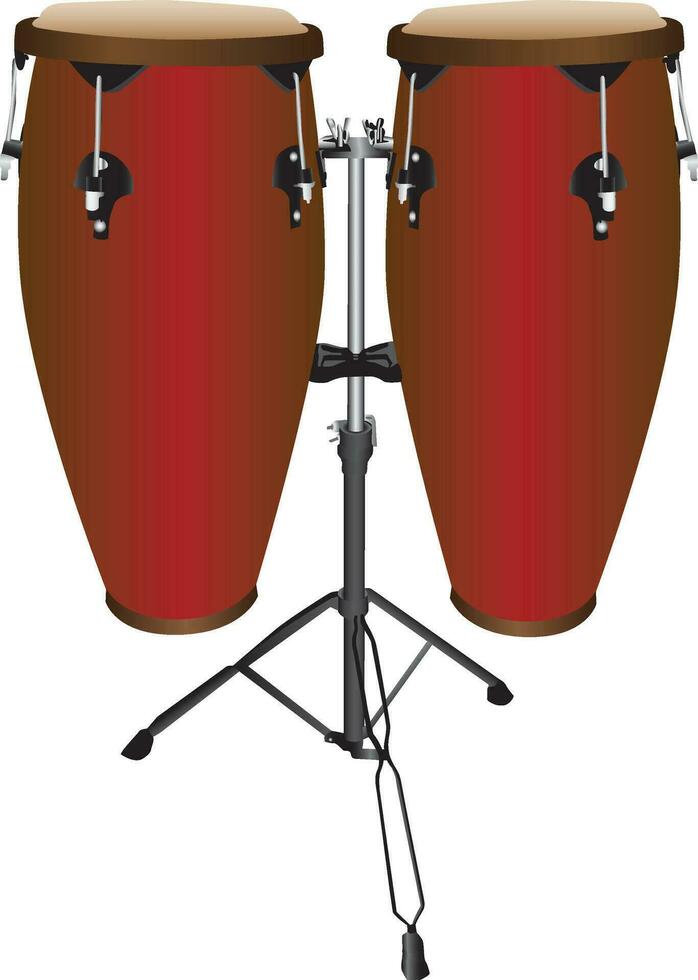 Pair of Conga Drums vector