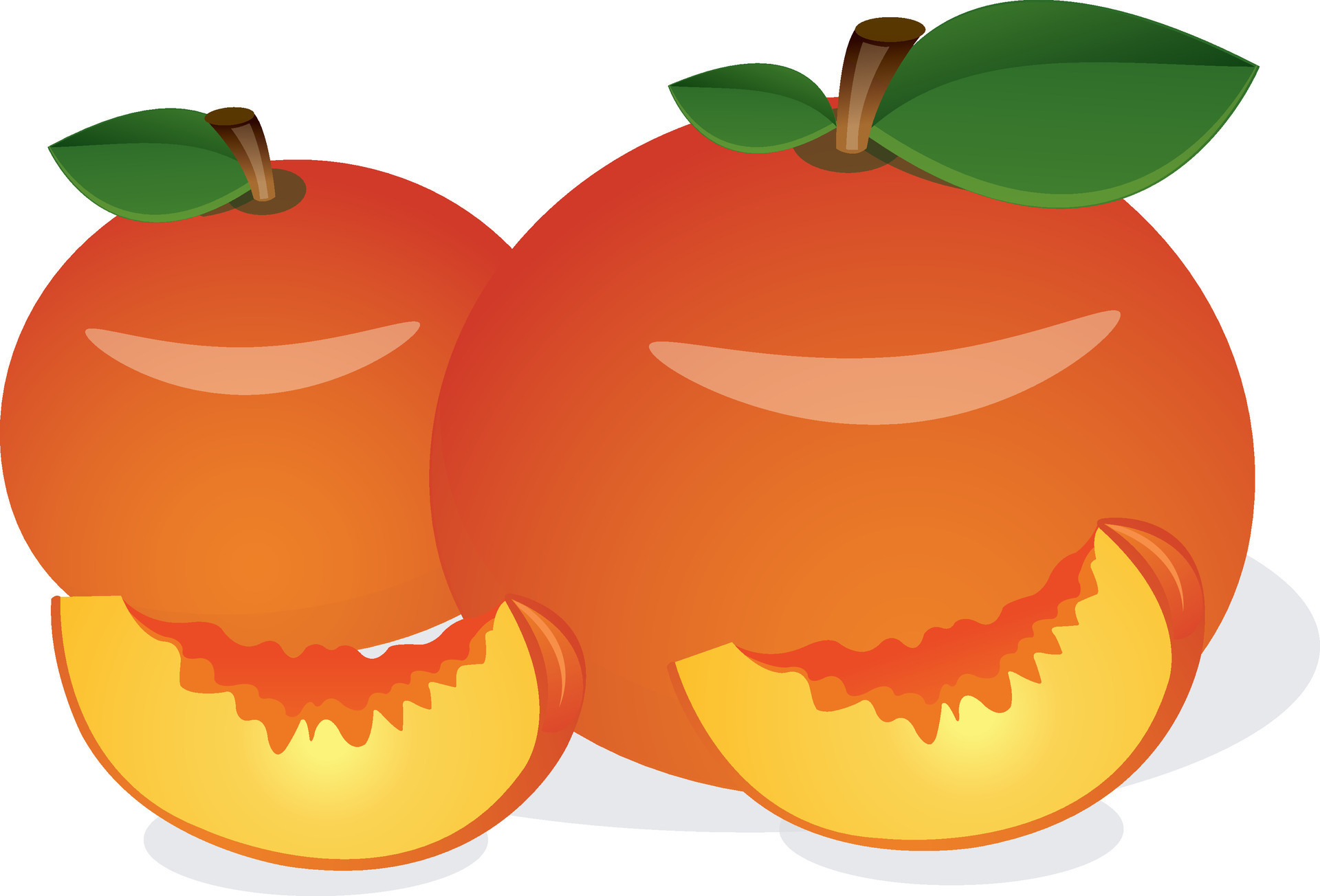 Peach, Fruit, illustration 35170432 Vector Art at Vecteezy