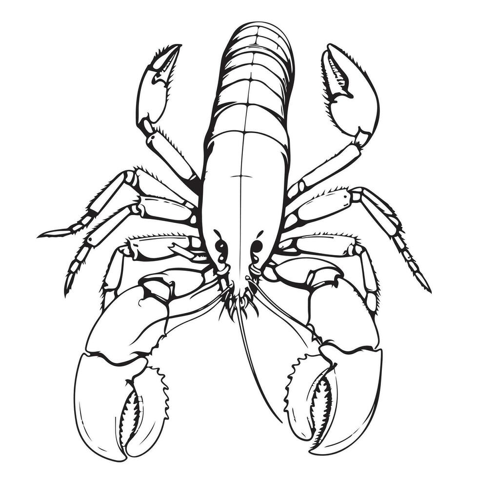 Lobster hand drawing vintage engraving vector illustration