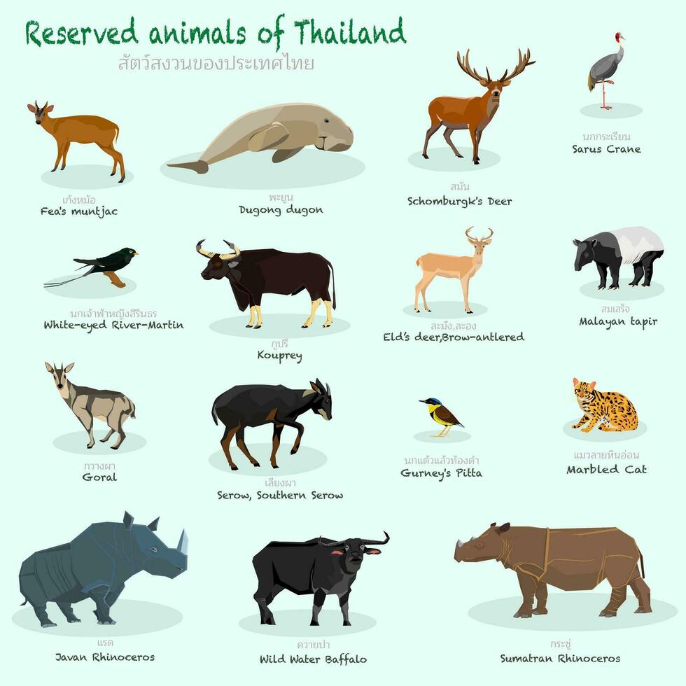 Reserved animals of Thailand vector illustration