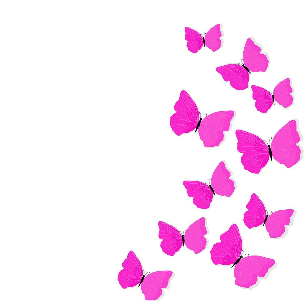 Many beautiful pink butterflies are isolated on a white background vector