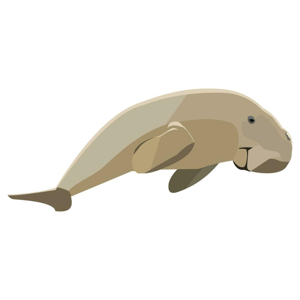 sea cow vector illustration