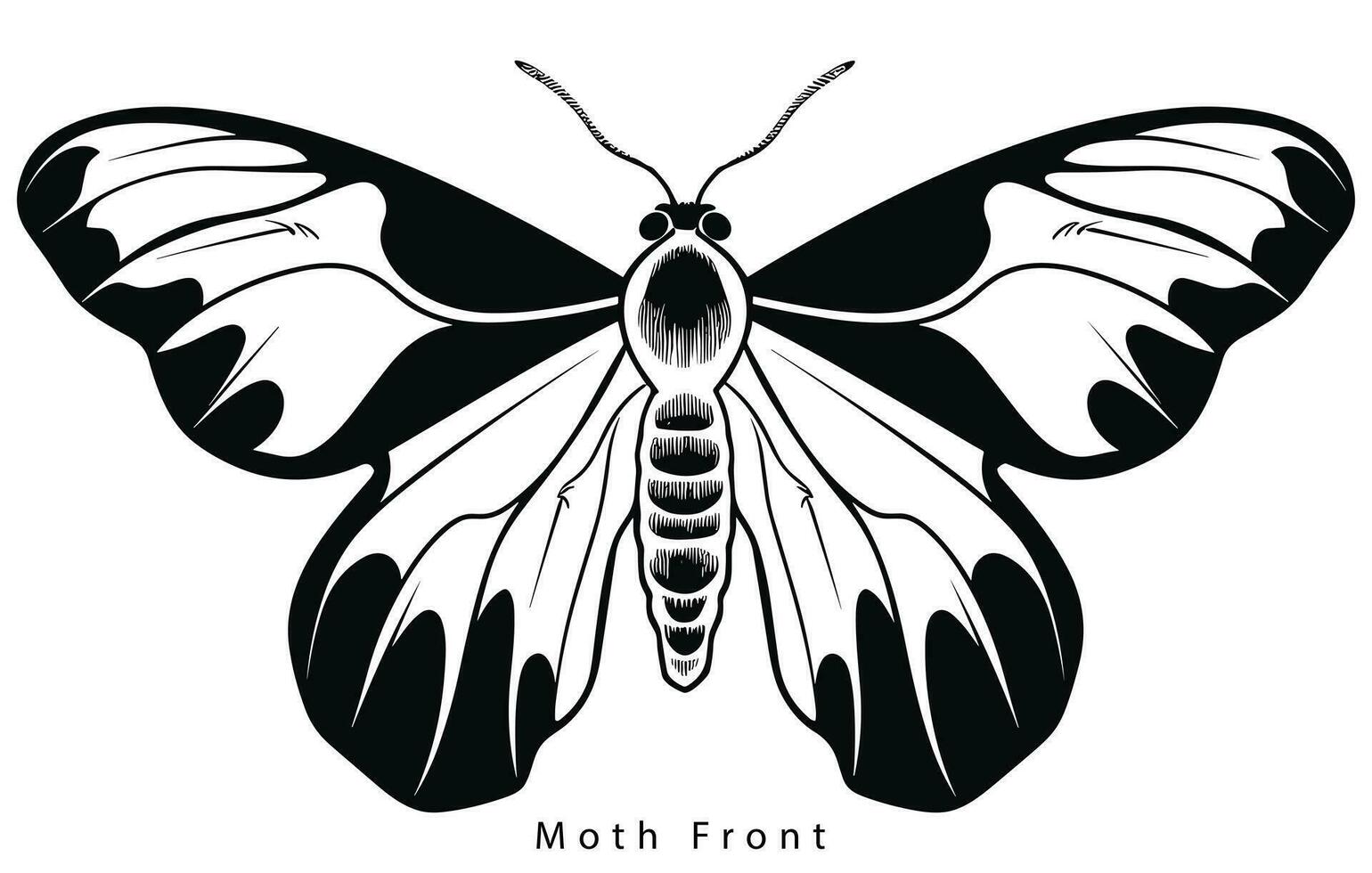 Monarch butterfly silhouette. Vector illustration