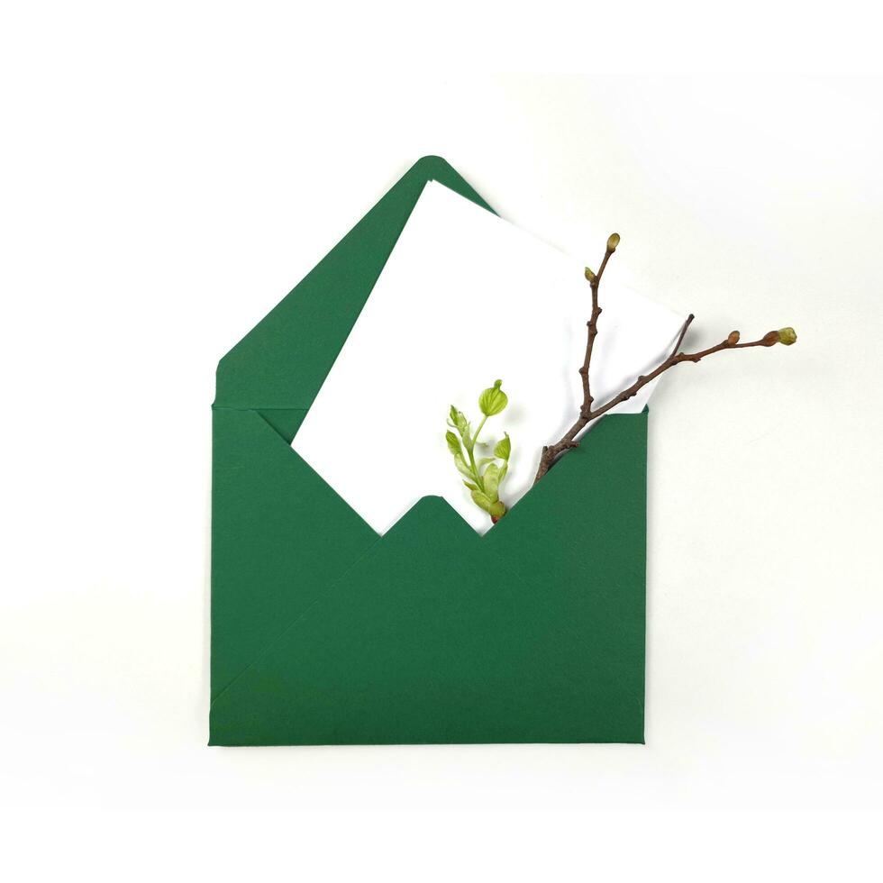 Envelopes with space for text. Spring invitation. Envelope with twigs and leaves. Craft paper photo