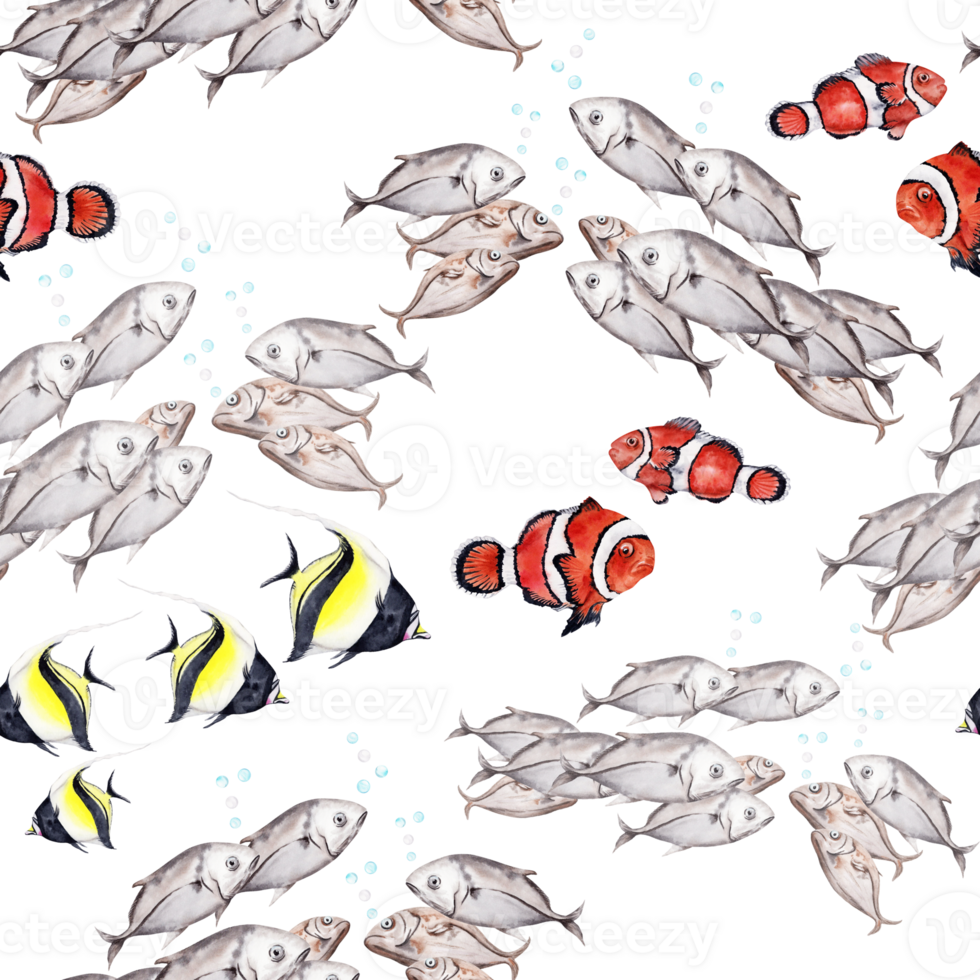 Seamless pattern with tropical reef fishes. Anemone fish. Hand drawn watercolor illustration isolated on transparent background. For diving shops brochures, wrapping and wallpaper, cards, textile png