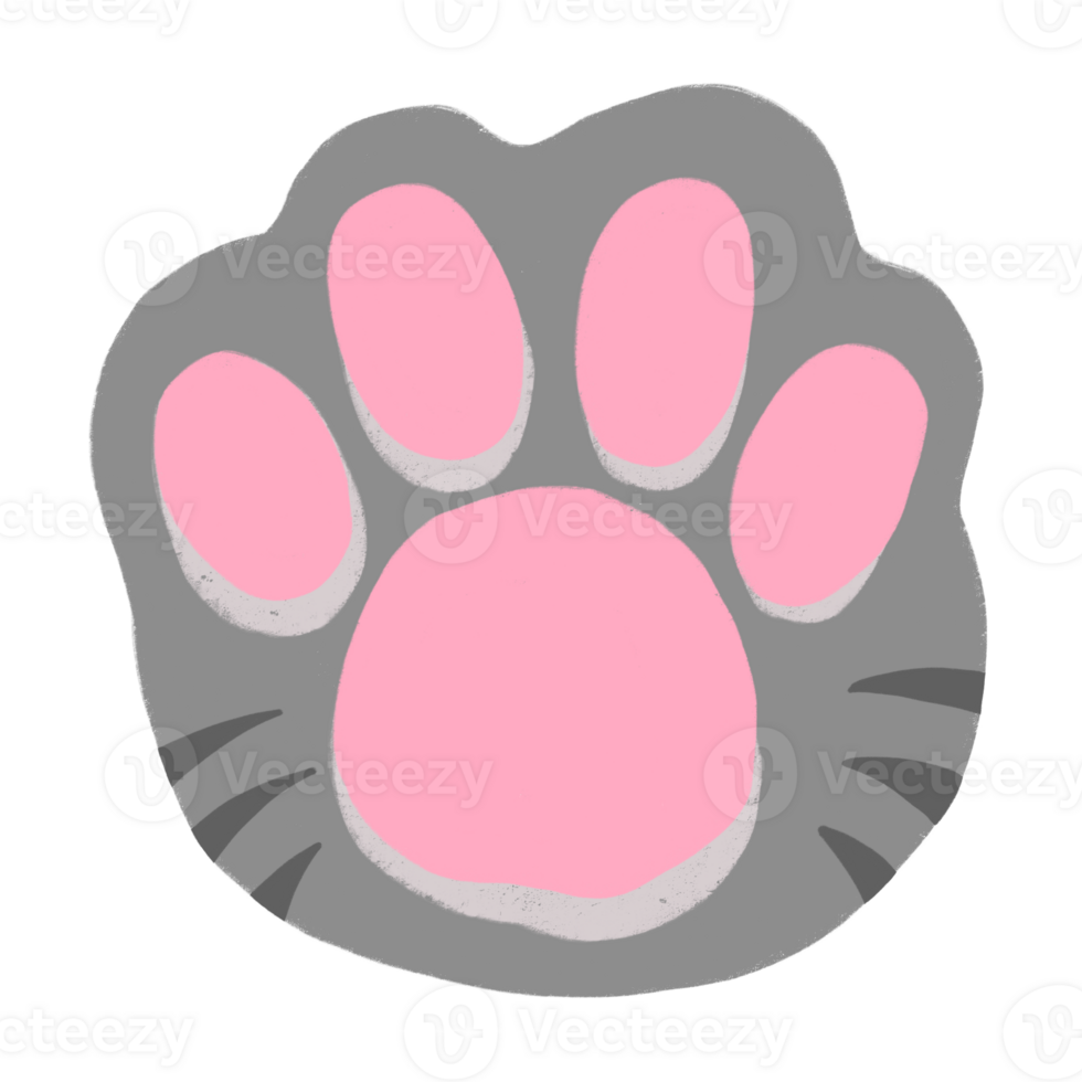 Cat Paw Cartoon illustration Tabby Cat Paw png