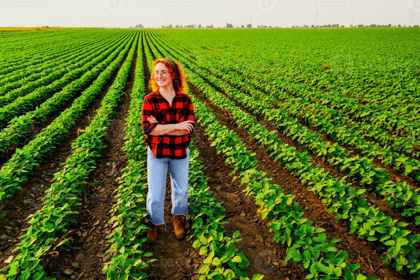 Portrait of female farmer who is cultivating soybean. She is satisfied with good progress of plants. Agricultural occupation. photo