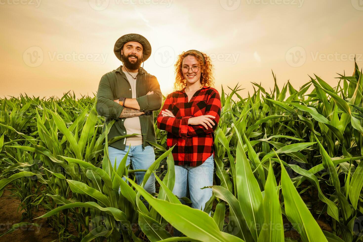 Family agricultural occupation. Man and woman are cultivating corn. They are satisfied with good progress of plants. photo