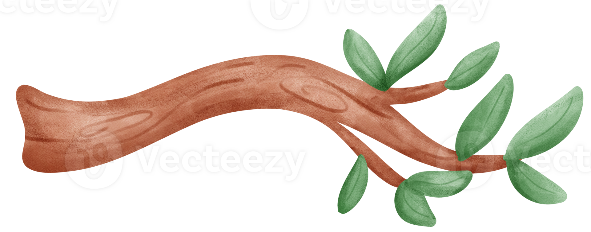 tree branch watercolor png