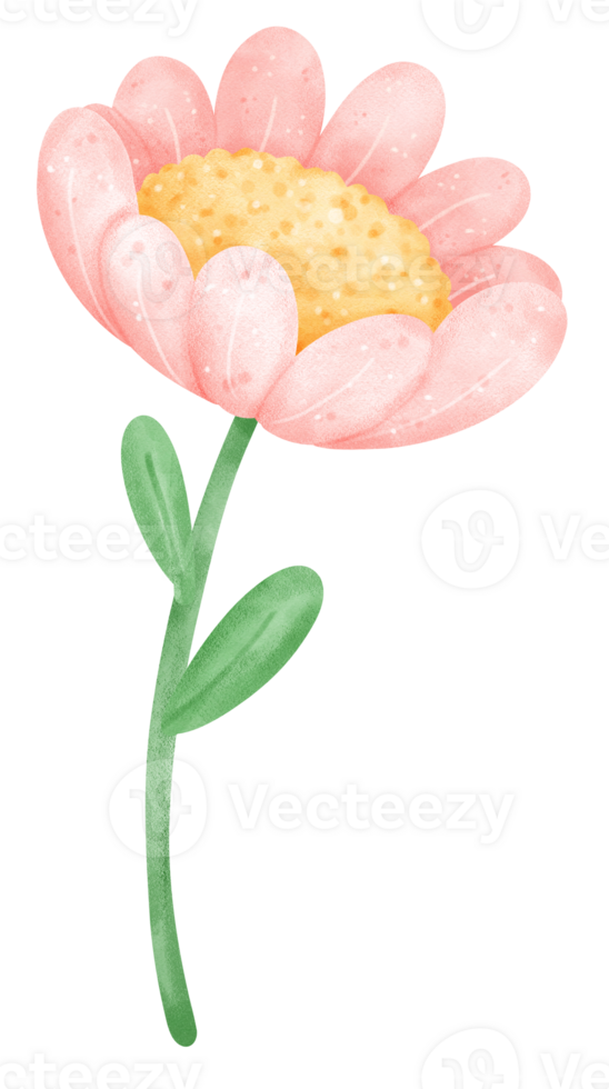 cute Pink flower with stem cartoon png