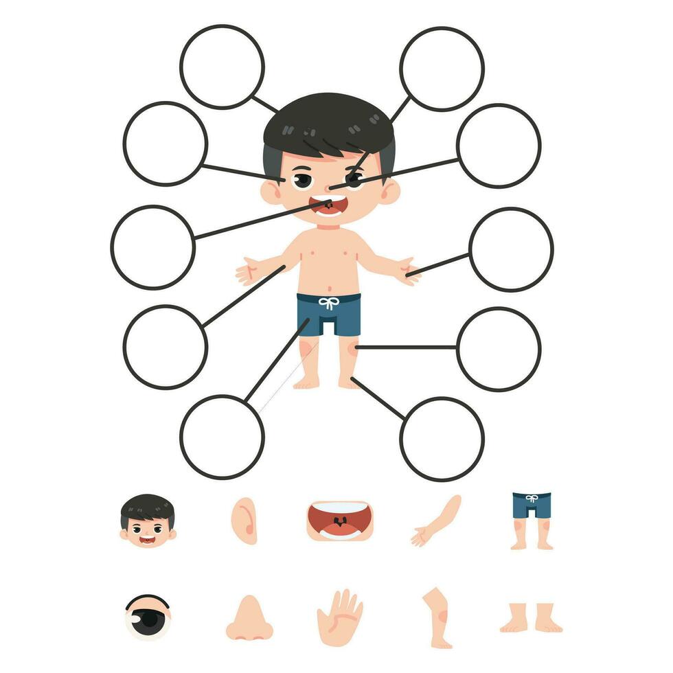 Cute boy human body parts cartoon vector