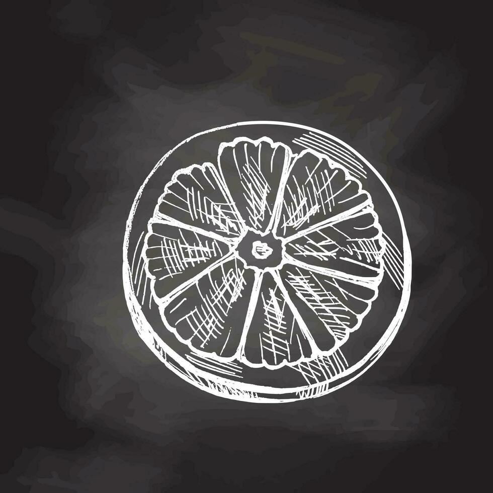 Hand-drawn sketch of piece of citrus. Vector food drawing on chalkboard background. Lemon half. Orange, lime, grapefruit.