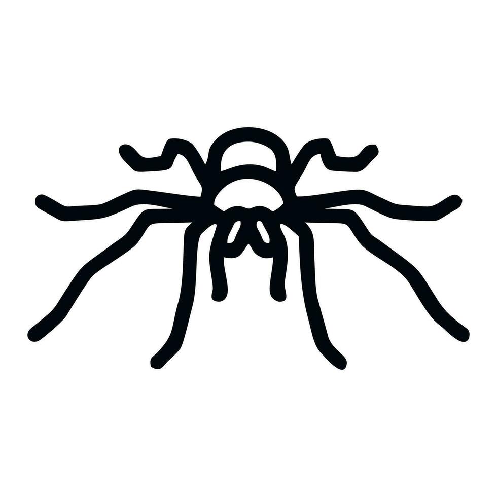 Spider line icon isolated on white background. Vector illustration