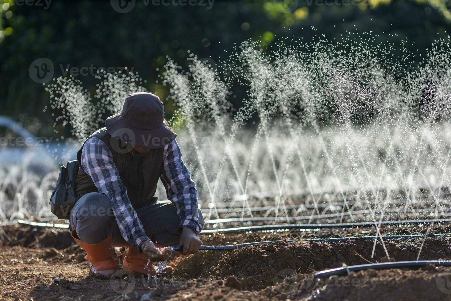 Asian farmer is fixing the clogged in the hose of irrigation watering system  growing organics plant during spring season and agriculture concept photo