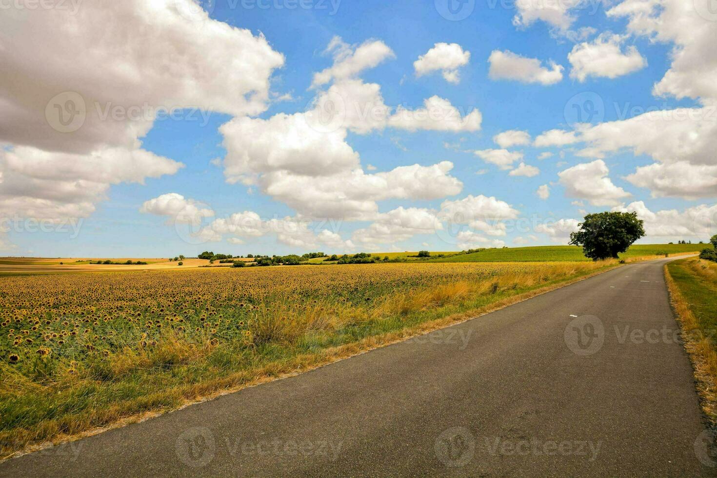 Scenic rural view photo