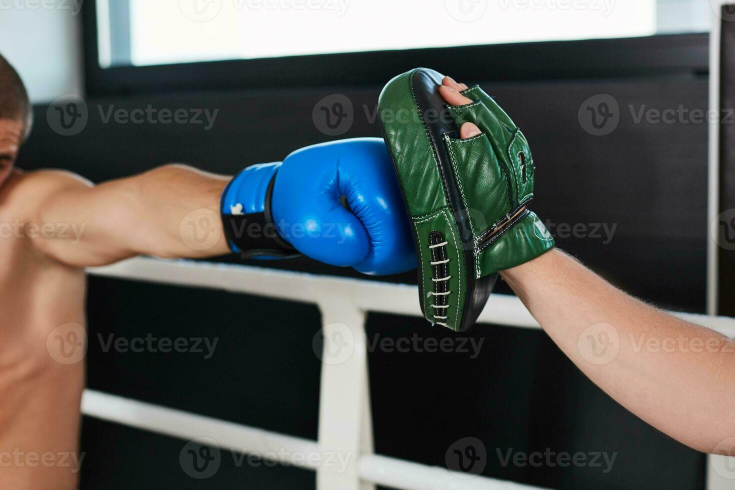 Hand of boxer and training gloves photo