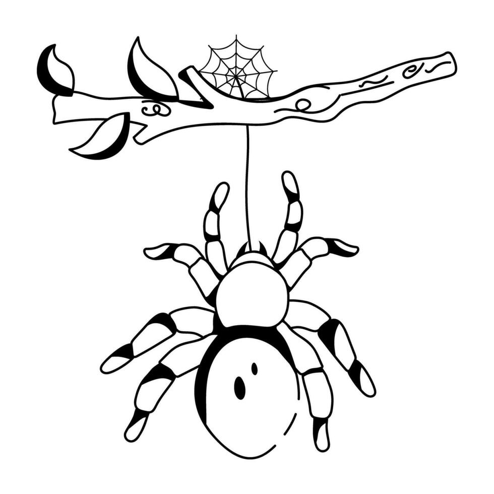 Trendy Hanging Spider vector