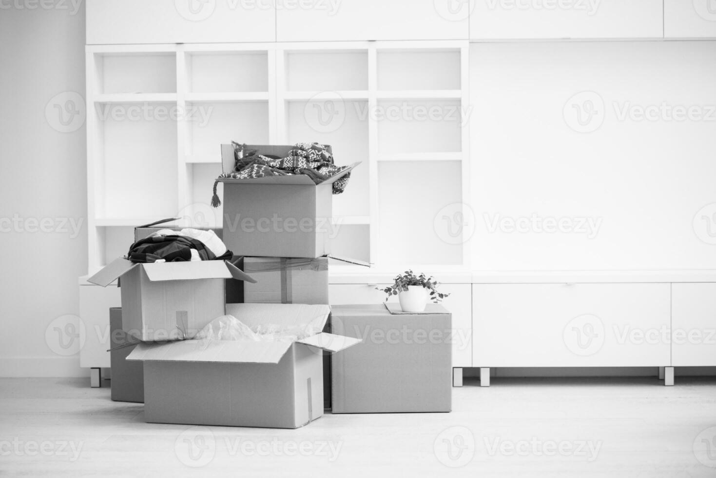 Moving boxes black and white photo