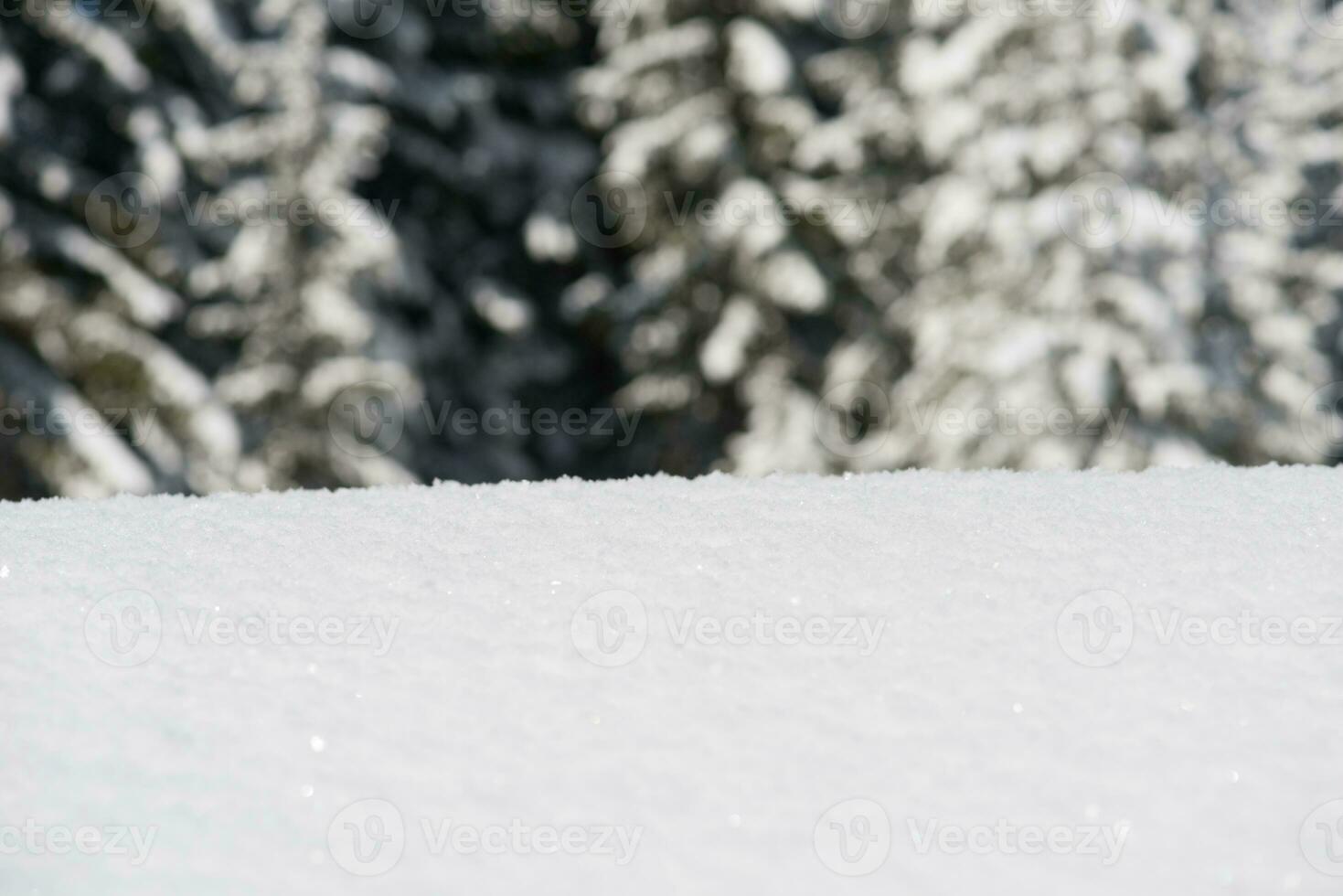 snow background view photo