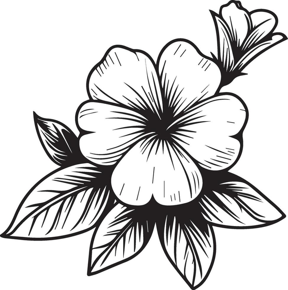 simple flower coloring pages, Coloring pages for adults, hand drawing periwinkle flower sketch art of, blossom vinca flower line art vector illustration, floral garden for beautiful cute easy flower