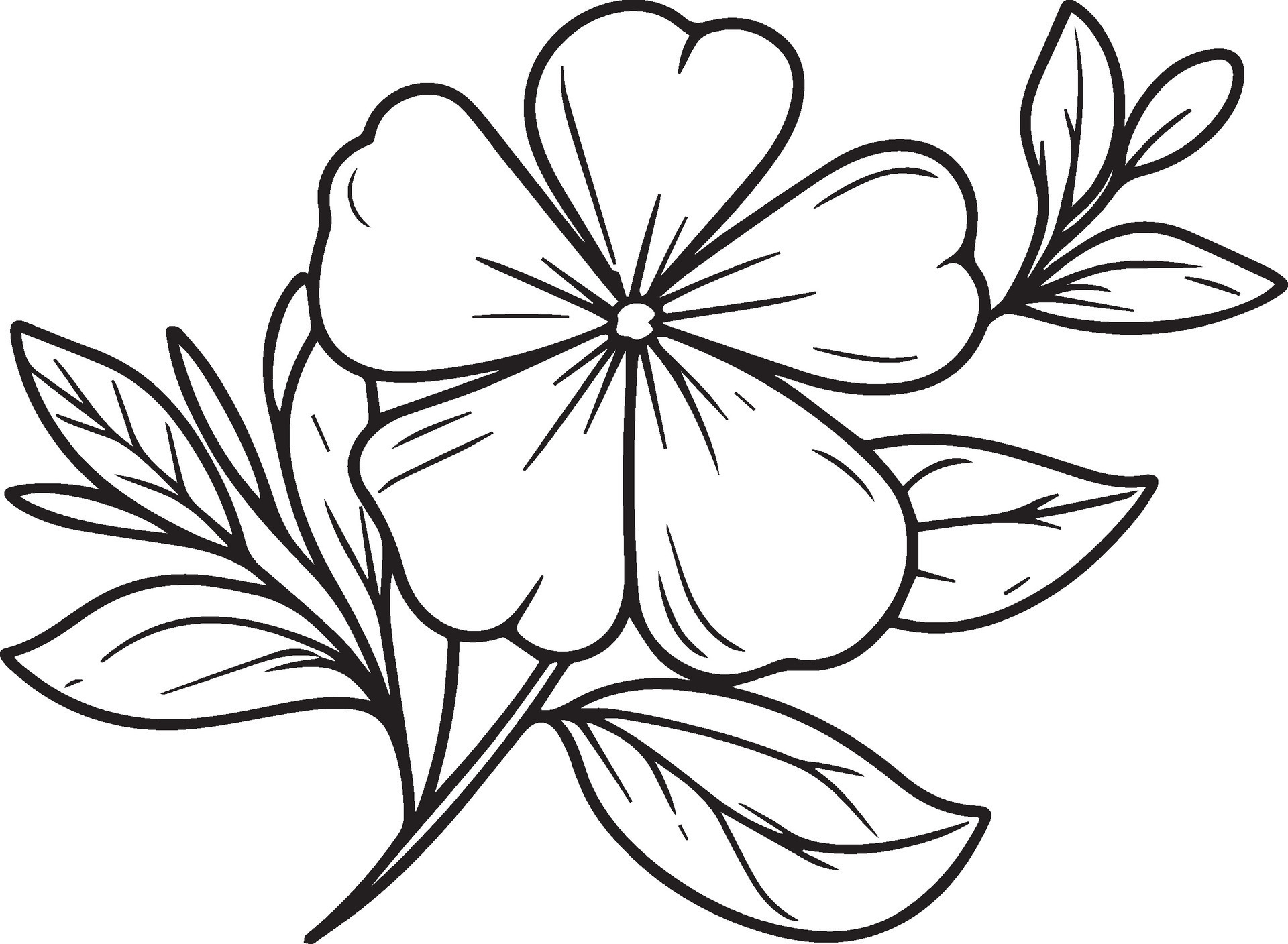 Simple flower coloring pages, Coloring pages for adults, hand drawing
