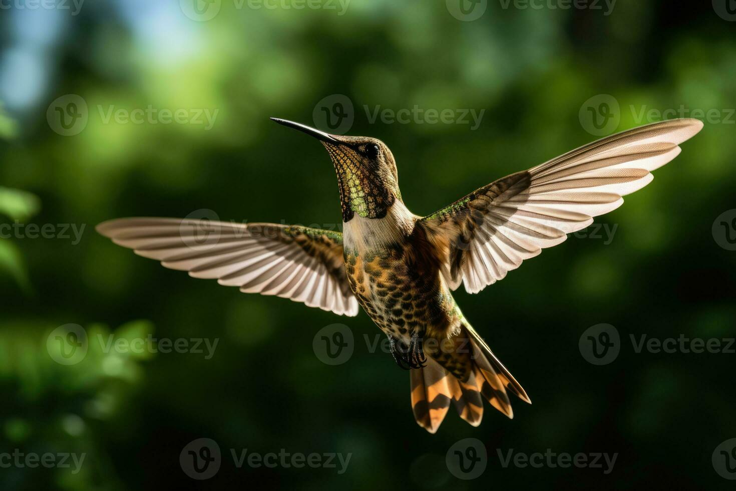 AI Generated Green bird wildlife small animals flying wild feather avian hummingbird flight humming photo