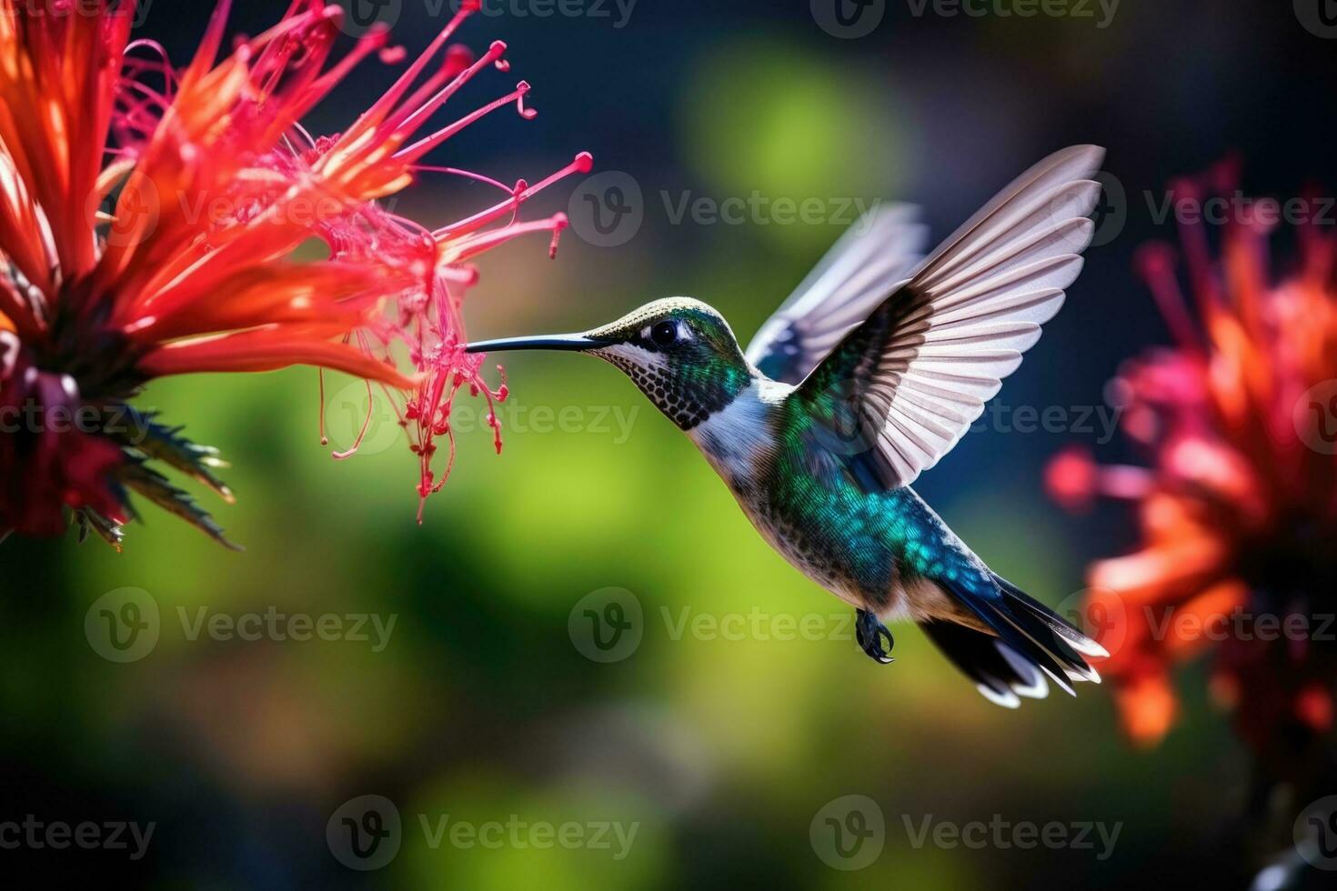 AI Generated Exotic tropic hummingbird nectar tail wing nature green beak flying animal feeding photo