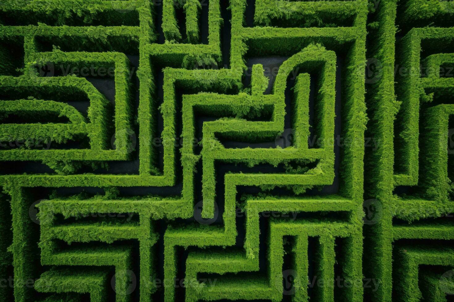 AI Generated Nature confusion game path labyrinth puzzle complexity plant pattern lost grass photo