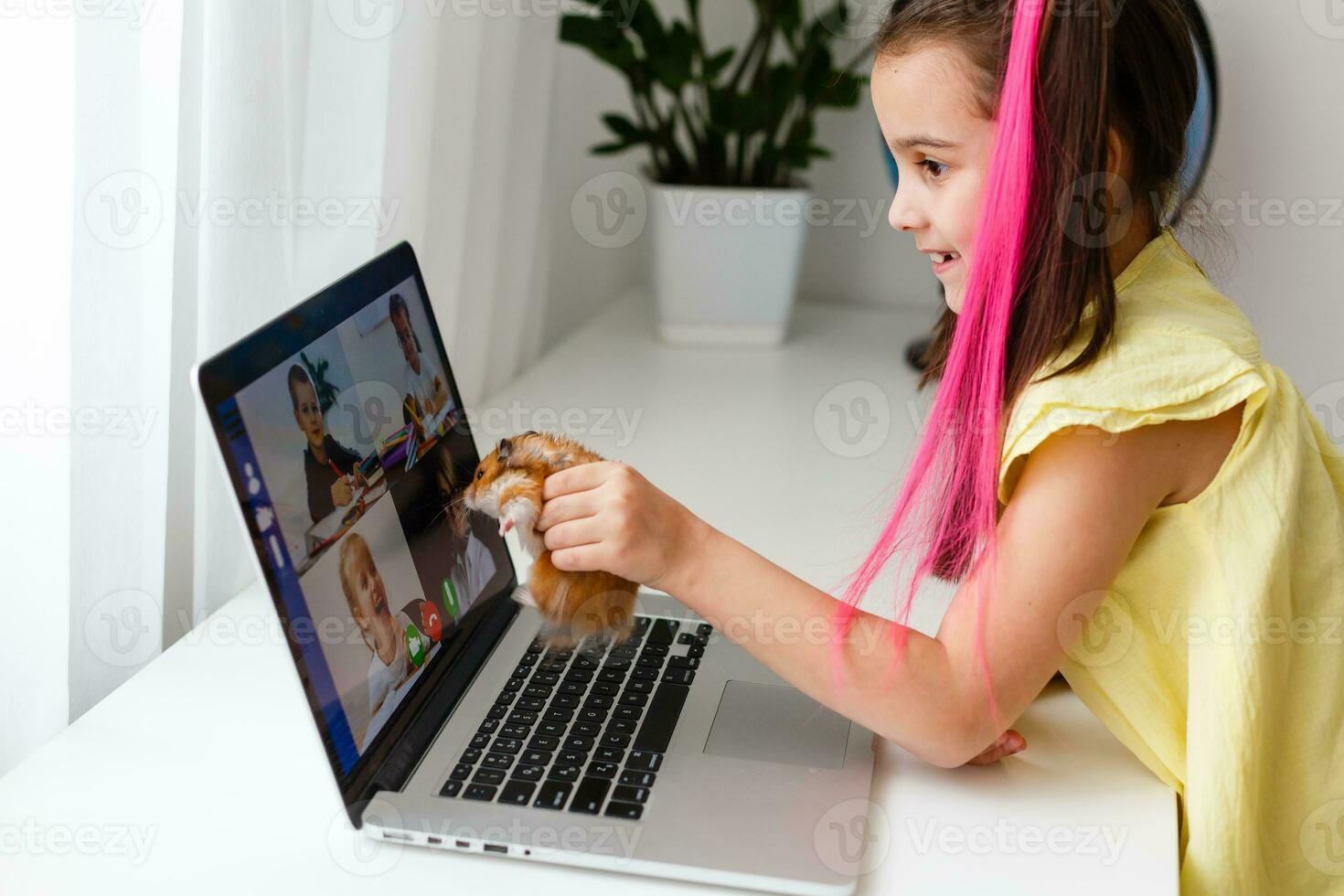 Cheerful young little girl with a pet hamster using laptop computer studying through online e-learning system at home. Distance or remote learning photo