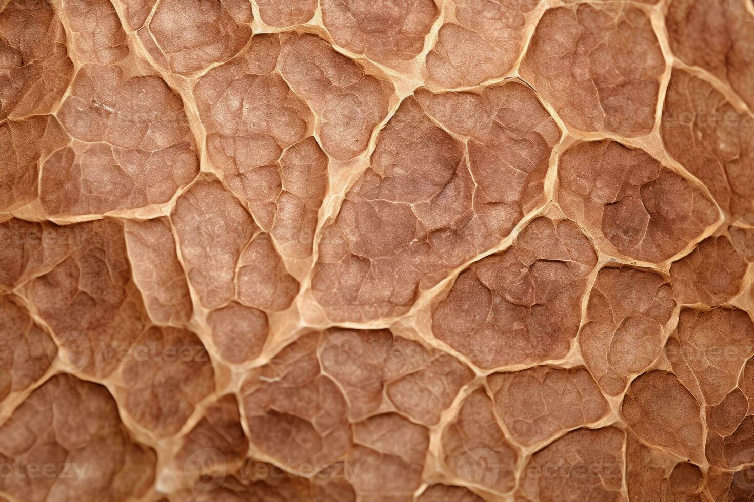 AI Generated Detail rough closeup background design yellow nature macro backdrop brown material old photo
