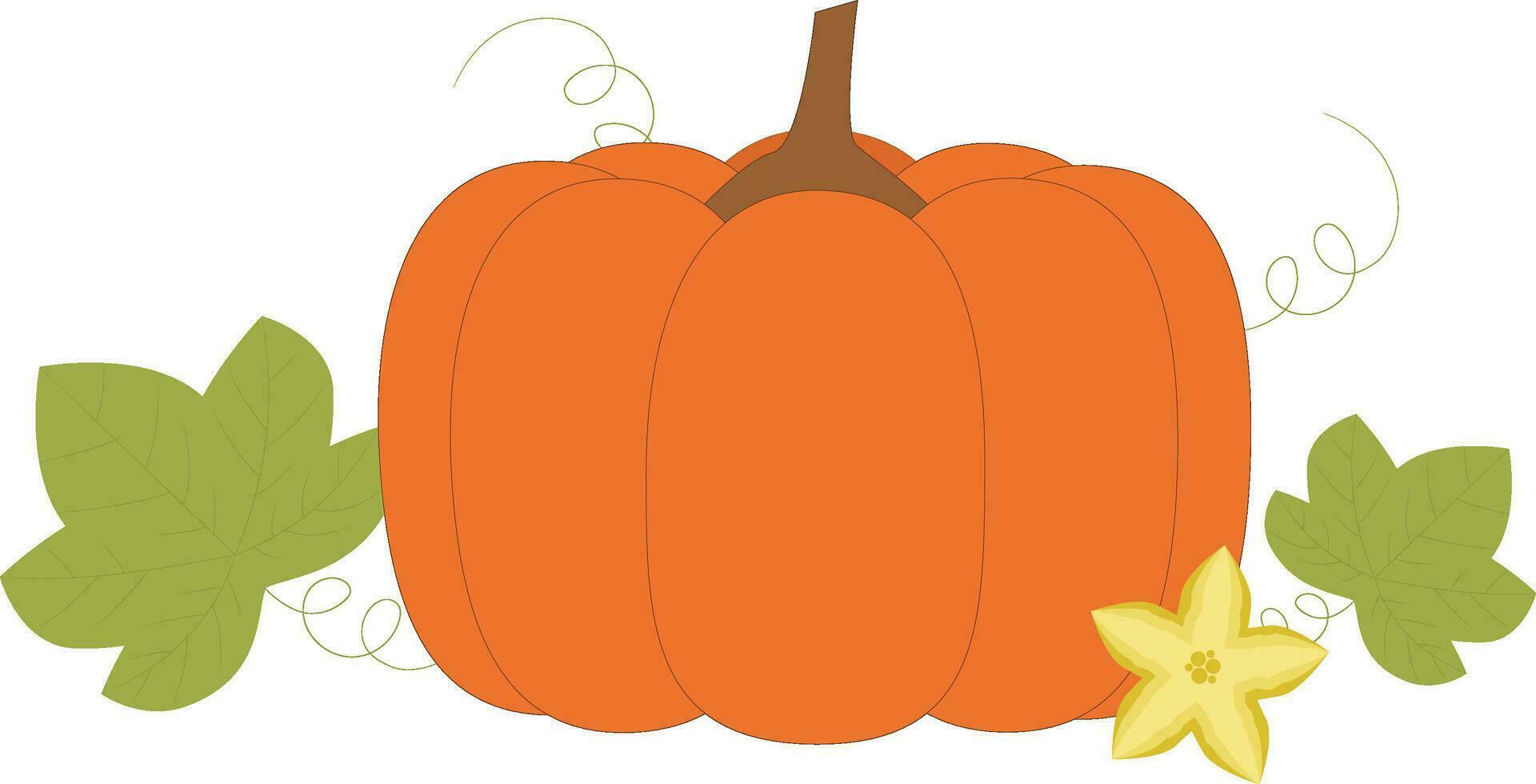 Pumpkin with leaf and flower vector illustration